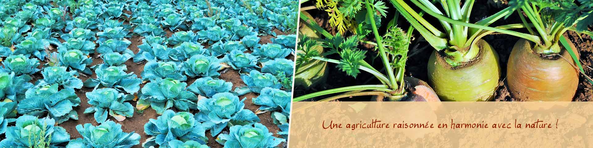Une agriculture raisonnée en harmonie avec la nature !